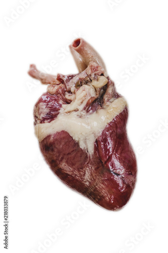 culinary ingredient raw heart Isolated on white background