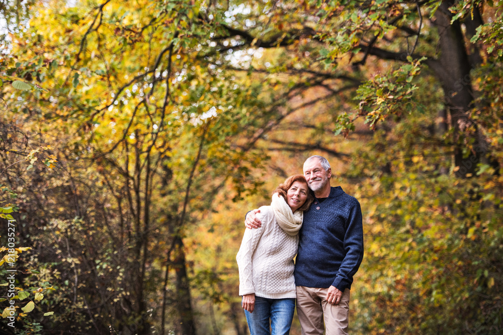 A portrait of a senior couple standing in an autumn nature. Copy space. A portrait of a senior couple standing in an autumn nature. Copy space.