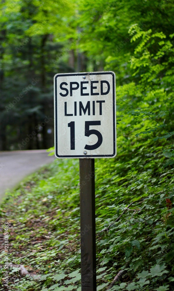 The speed limit sign in the picnic area of the park.
