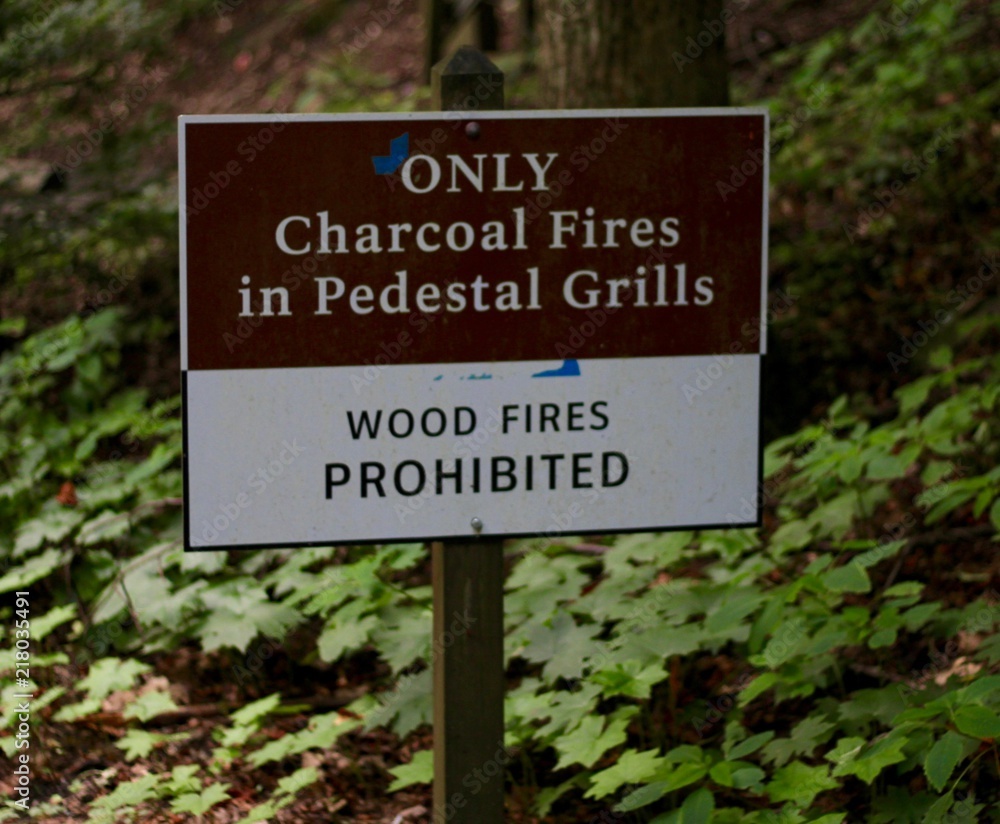 A brown and white sign in the forest on a close up view. 