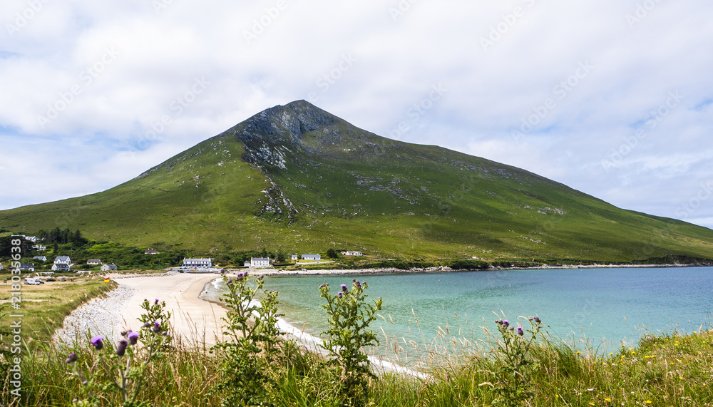 Slievemore Mountain and Silver Strand beach with purple thistle flowers in the foreground. Taken on a cloudy day on Achill Island. 