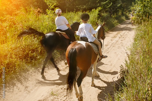 Horseback riding tour. Two riders on horseback from a back on a summer day stroll along the forest road.