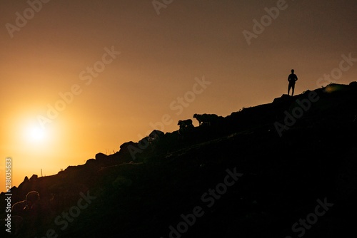 Silhouette of Human and Animal