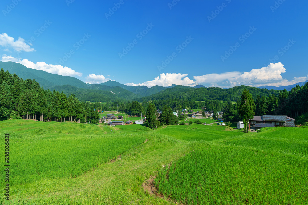 Fototapeta premium 【新潟県三条市北五百川】北五百川の棚田は粟ヶ岳の裾野に位置し、日本の棚田100選に選ばれている。