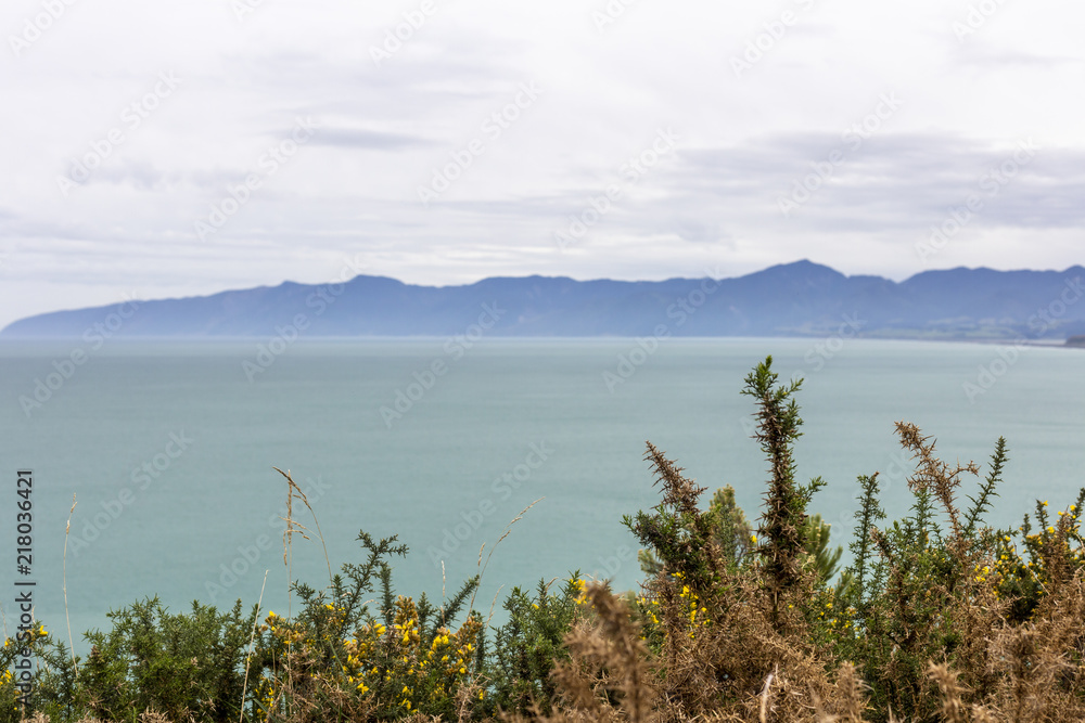 Palliser Bay, New Zealand