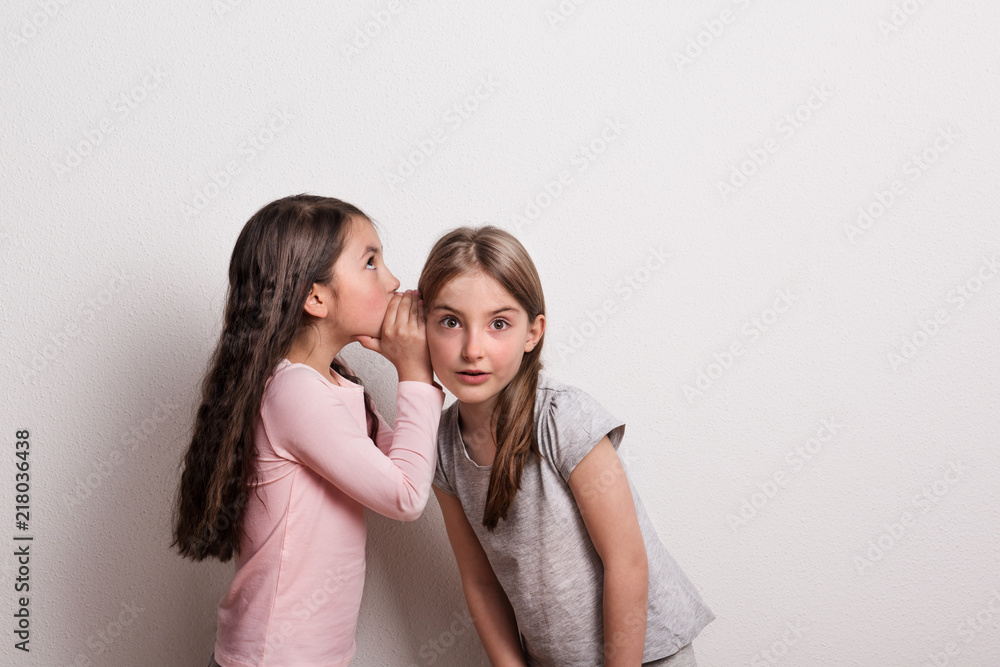 A small girl whispering something in an ear of her friend. A small girl whispering something in an ear of her friend.