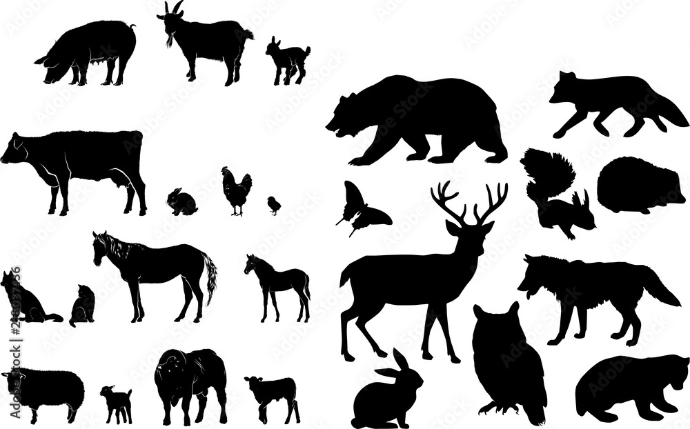 森の動物たちのシルエット Stock ベクター Adobe Stock