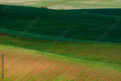 The lines of green hills create beautiful patterns like waves. Partially illuminated by the sun. Beautiful background © Игорь Гуменников