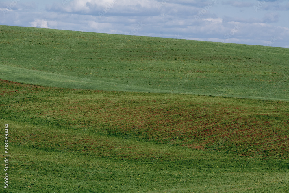 The lines of green hills create beautiful patterns like waves. Partially illuminated by the sun. Beautiful background