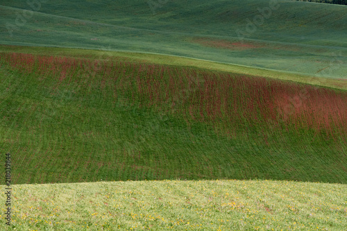 The lines of green hills create beautiful patterns like waves. Partially illuminated by the sun. Beautiful background