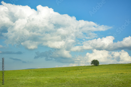 pejzaż, niebo, chmury, drzewo