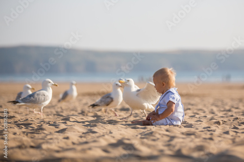 Cute baby child, boy, playing with seagulls on the edge of the ocean photo