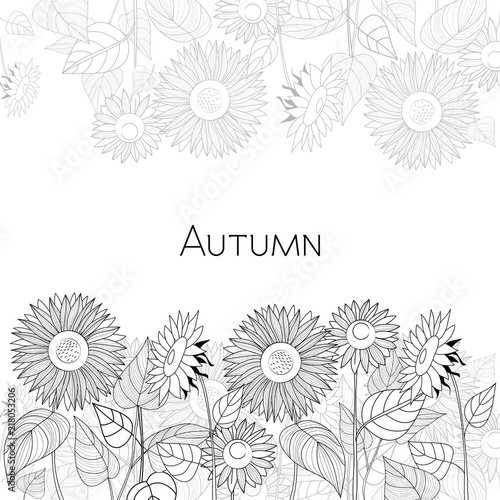 Autumn card of sunflowers. Black and white vector illustration.