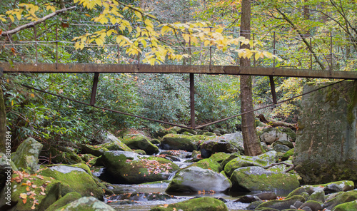 Foot bridge over smoky mountain rocky stream