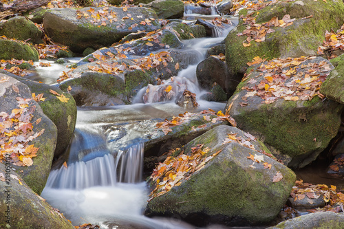 Mountain stream with mossy rocks