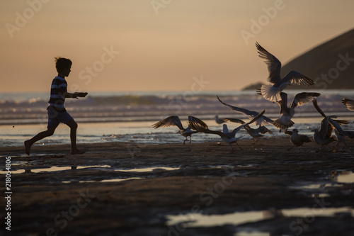 Children, beautiful boy brothers, watching and feeding seagulls on the beach photo