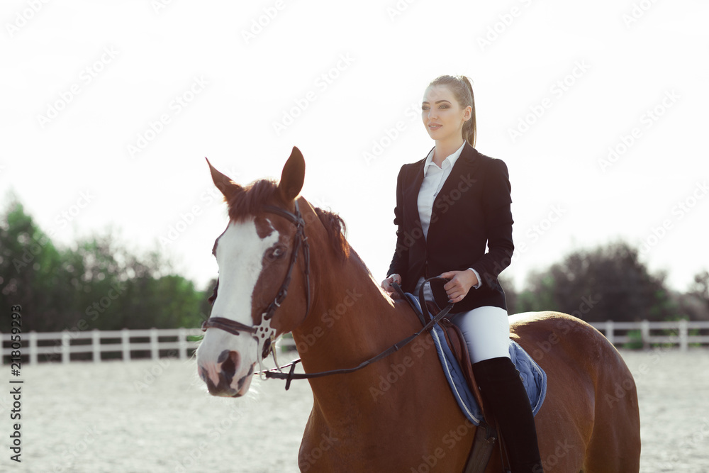 Fototapeta premium Rider elegant woman riding her horse outside