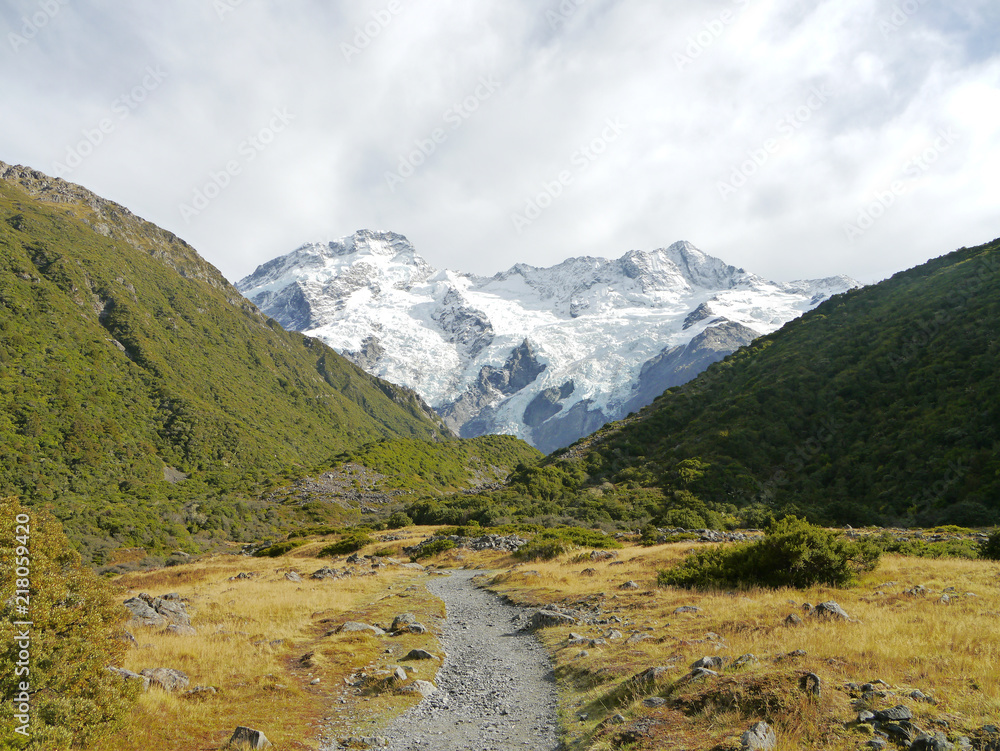 Fototapeta premium Peak of Mount Cook, New Zealand