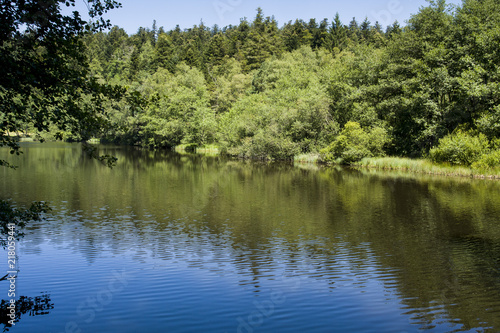 Lake near Gehard waterfall in Vosges France