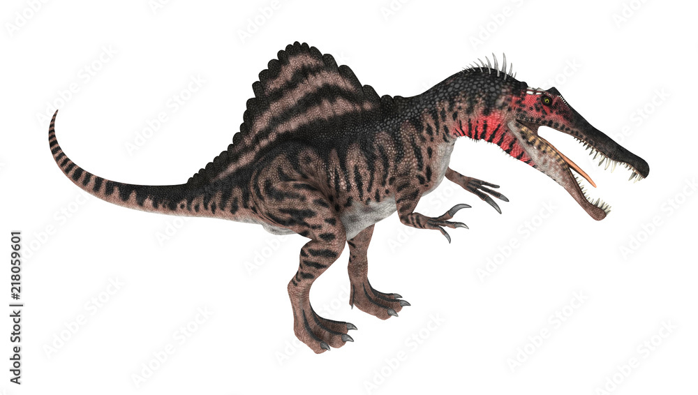 3D Rendering Dinosaur Spinosaurus on White 3D Rendering Dinosaur Spinosaurus on White