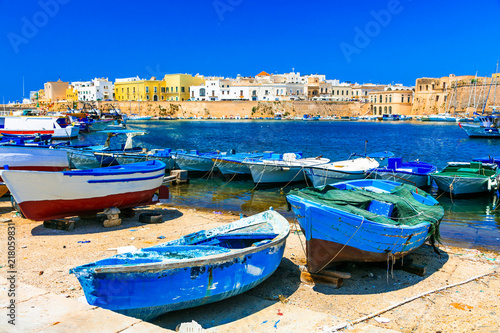 Traditional Italy. Old port of Gallipoli, view with castle amd boats, Puglia.