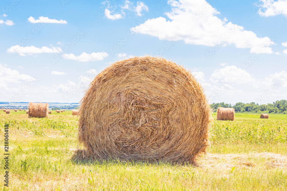 Hay bale. Agriculture field with sky. Straw on meadow. Wheat yellow golden harvest in summer. Concept Grain crop, harvesting. Hay bale. Agriculture field with sky. Straw on meadow. Wheat yellow golden harvest in summer. Concept Grain crop, harvesting.