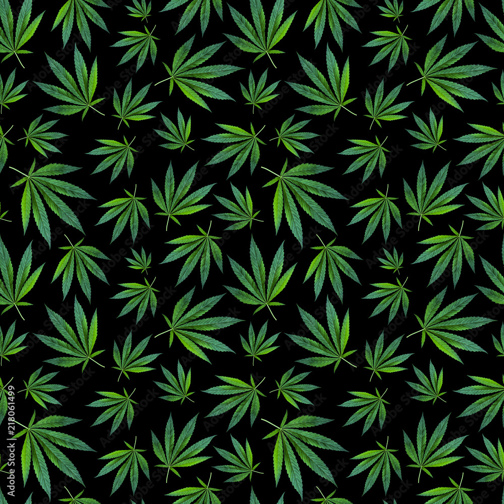 seamless pattern marijuana leaves on black background. cannabis