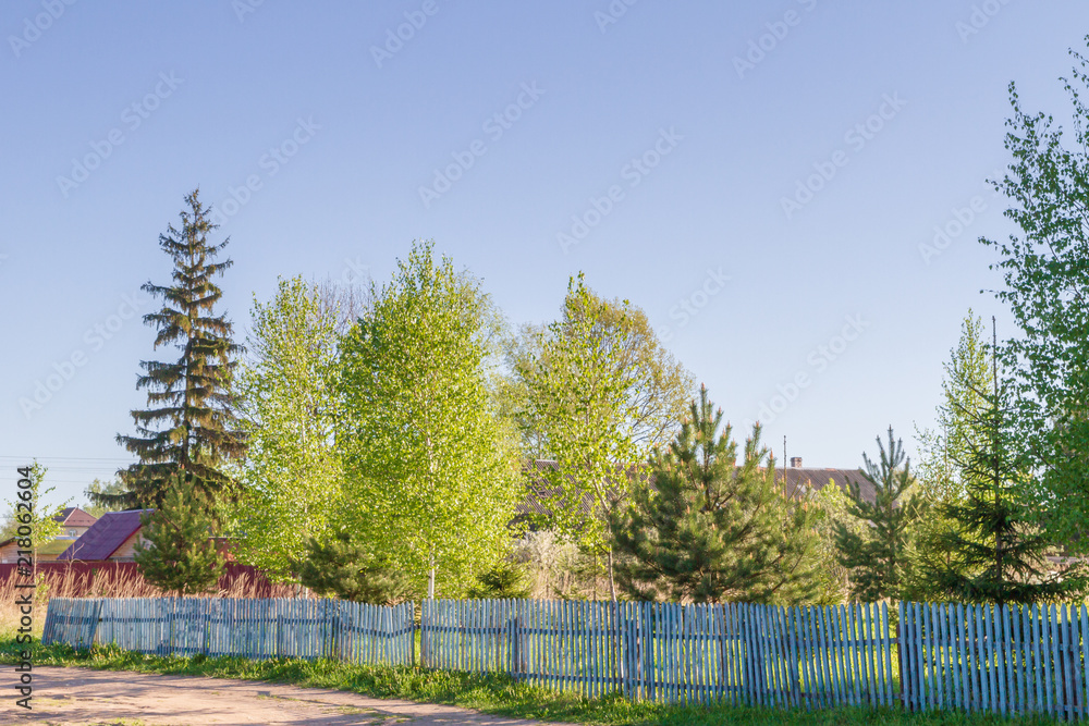 Low wooden fence in spring in the village with different trees Low wooden fence in spring in the village with different trees