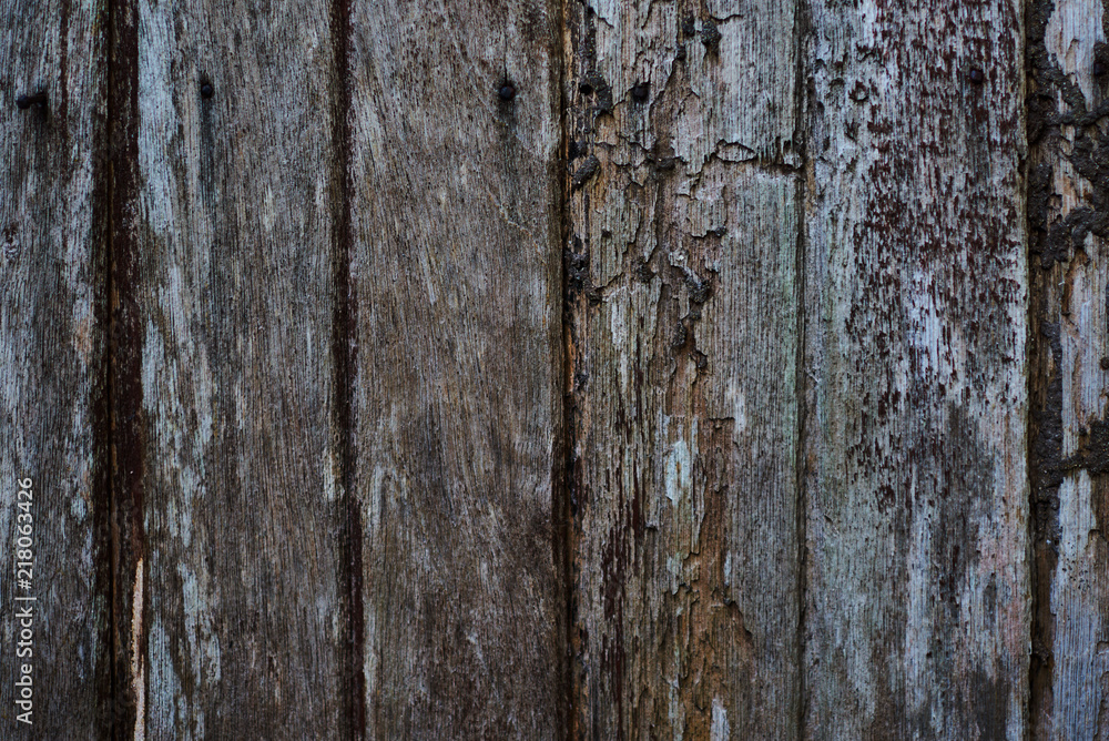 Boards together with knots and traces of bark beetle. Old weathered rotten knotted coarse gray grunge wooden fence. Texture and background nature old wood..