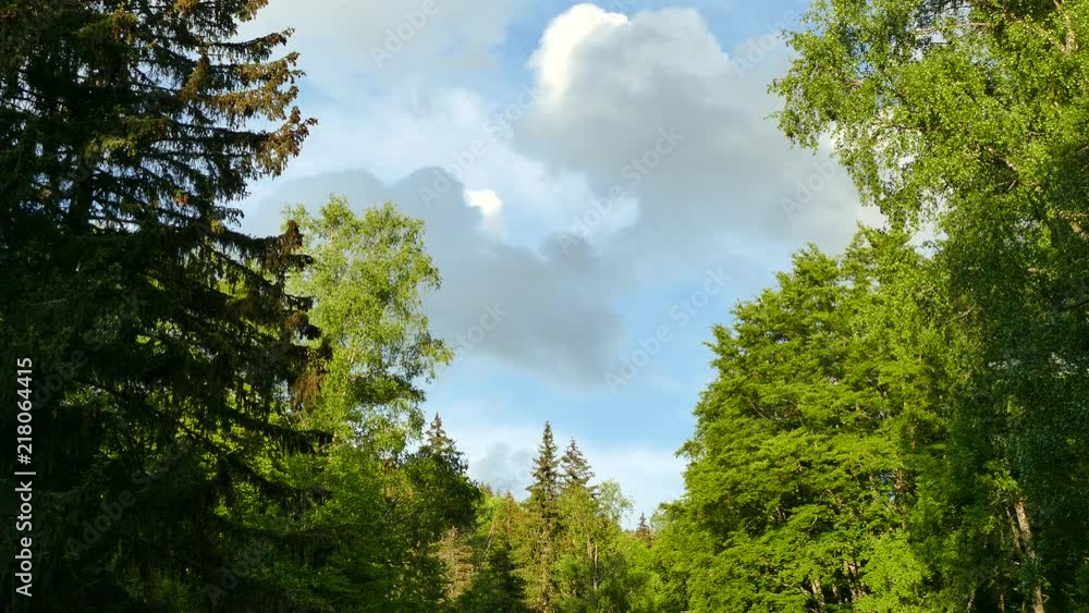 Vitosha Natural Park near Sofia, Bulgaria. The Golden Bridges area.