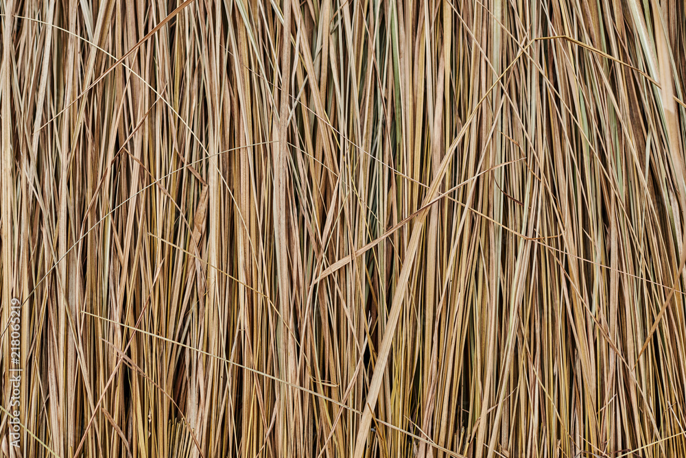A thatched roof background, hay or dry grass background. Grass hay, grass roof texture background. Straw, dry straw, straw roof background texture. Abstract background by dry grass and yellow grass. A thatched roof background, hay or dry grass background. Grass hay, grass roof texture background. Straw, dry straw, straw roof background texture. Abstract background by dry grass and yellow grass.