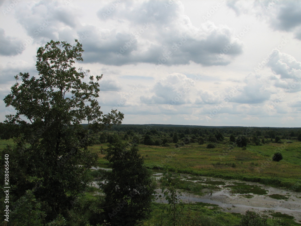 Obraz premium landscape