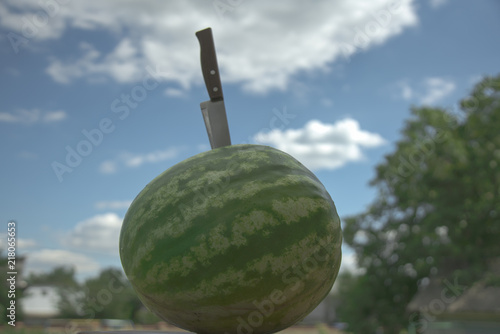 Green watermelon against the sky with clouds photo