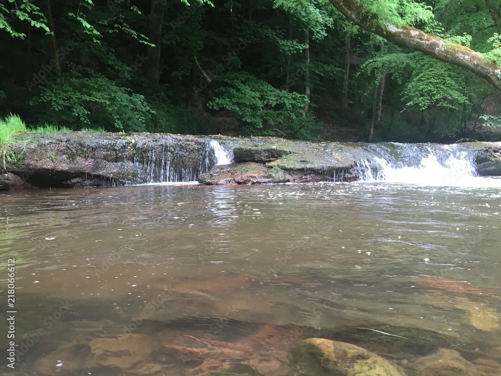 Fototapeta premium Shallow Waterfall