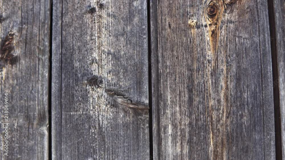 The old gray wood is darkened from time to board with knots, a wooden vintage background, the camera moves from the right to the left. The old gray wood is darkened from time to board with knots, a wooden vintage background, the camera moves from the right to the left.