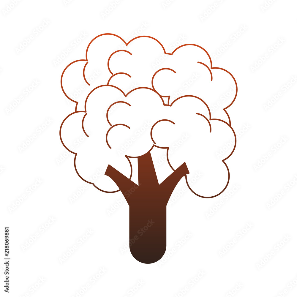 Broccoli fresh and natural vegetable vector illustration graphic design Broccoli fresh and natural vegetable vector illustration graphic design