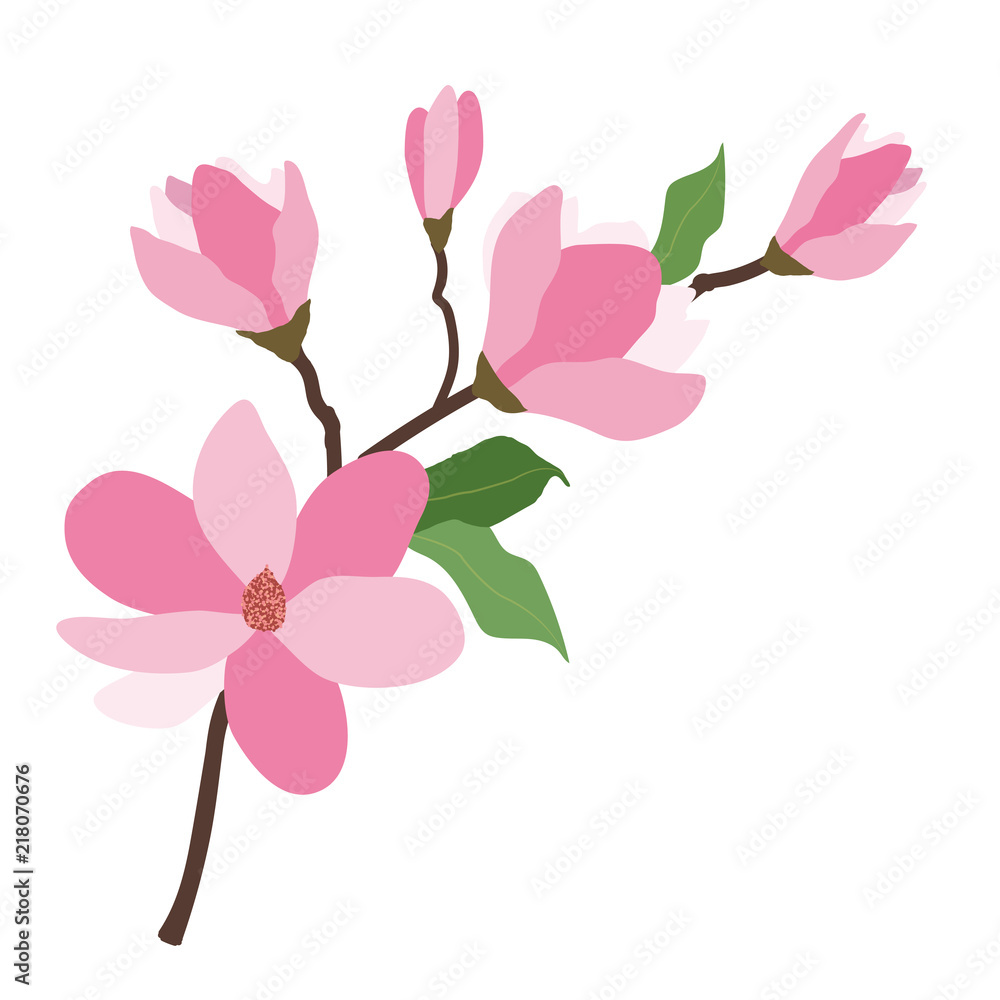 Nature flower pink magnolia