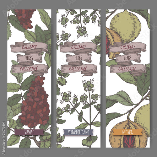Three color labels with Syrian oregano, sumac and nutmeg sketch.