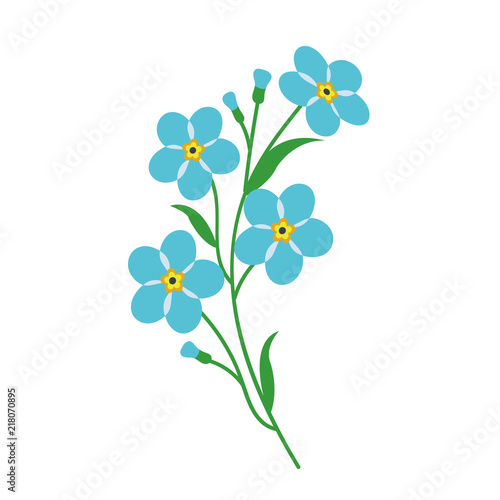 Nature flower light blue forget me not