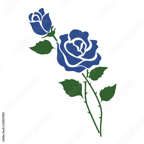 Nature flower blue rose