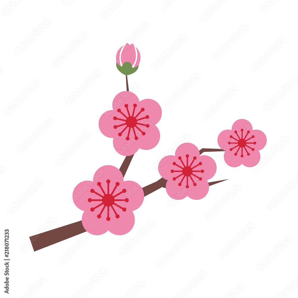 Nature flower pink plum blossom Nature flower pink plum blossom