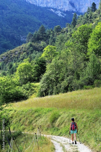 randonn  e dans le Vercors