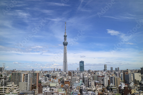 Canvas Print Great city and Tokyo sky tree