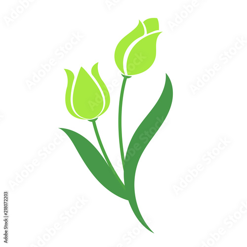 Nature flower green tulip