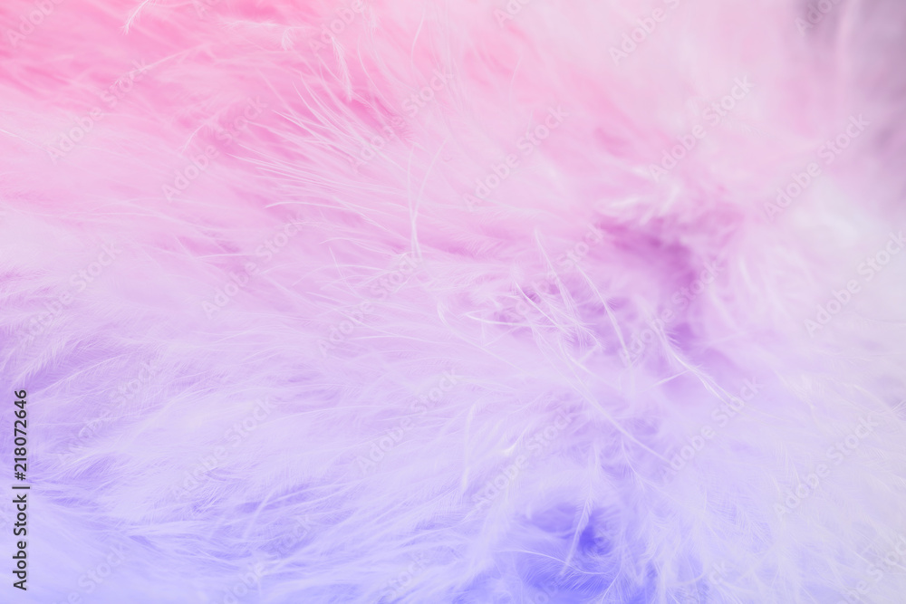 Fototapeta premium Pastel color of bird feathers in soft and blur style, Fluffy feather background
