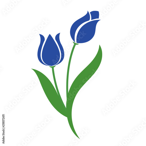 Nature flower blue tulip