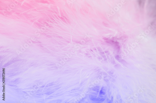 Pastel color of bird feathers in soft and blur style, Fluffy feather background