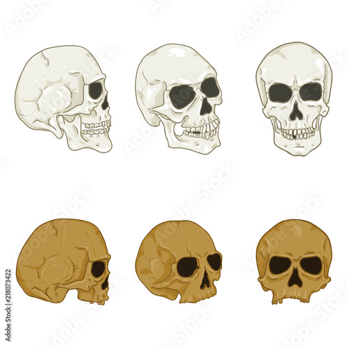 Vector Set of Cartoon Human Skull. Headbones Collection.
