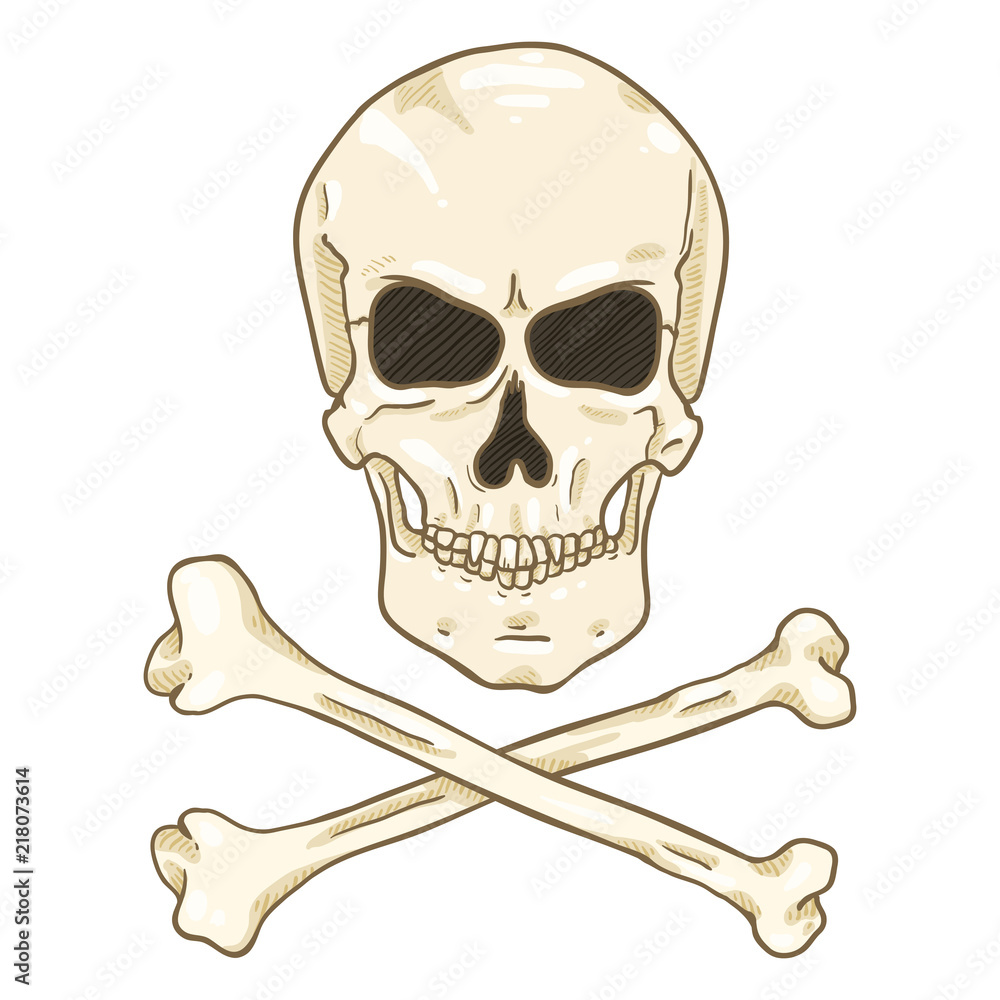 Vector Cartoon Pirate Symbol - Skull with Cross Bones Vector Cartoon Pirate Symbol - Skull with Cross Bones