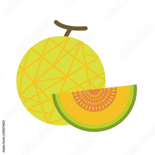 Healthy organic net melon